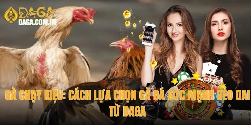 gà chạy kiệu